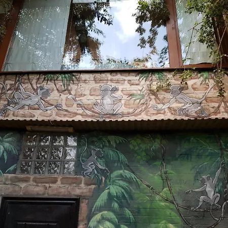 Jungle - дом-сказка у моря Odessa